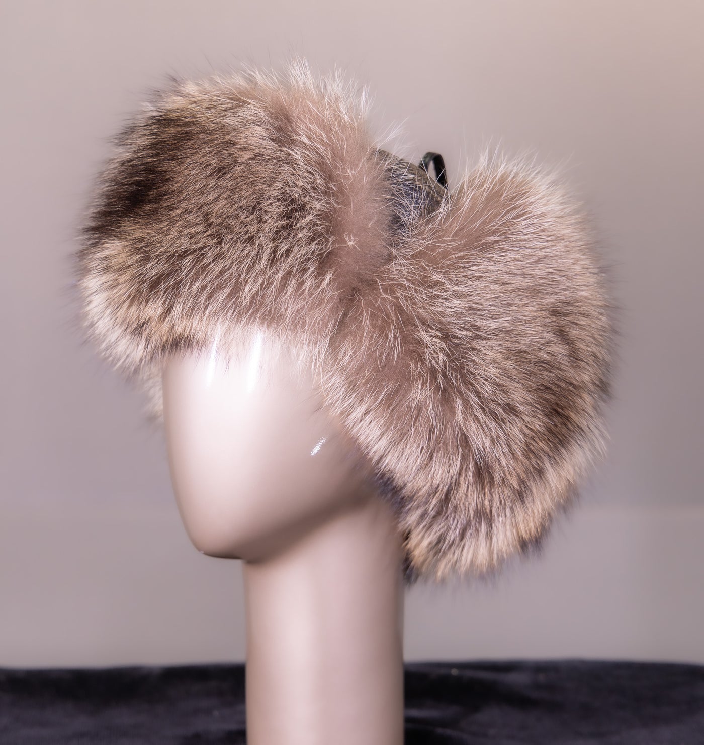 American Raccoon and Leather Trooper Hat