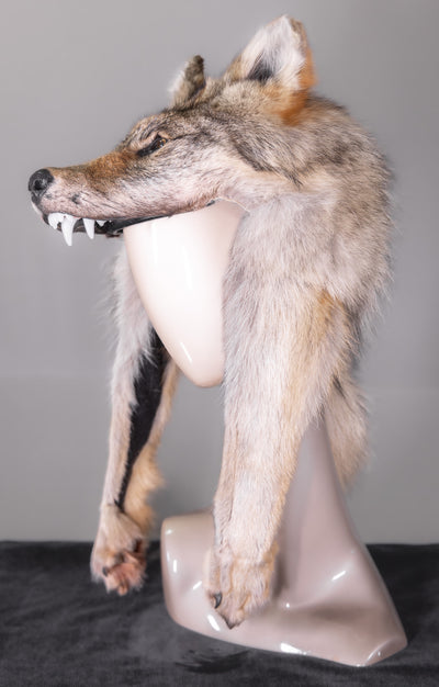 Natural Coyote Rondy Hat