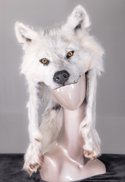 Natural Coyote Rondy Hat