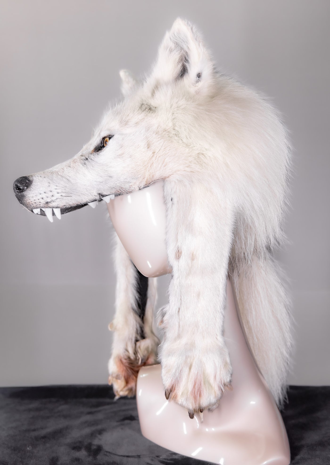 Natural Coyote Rondy Hat