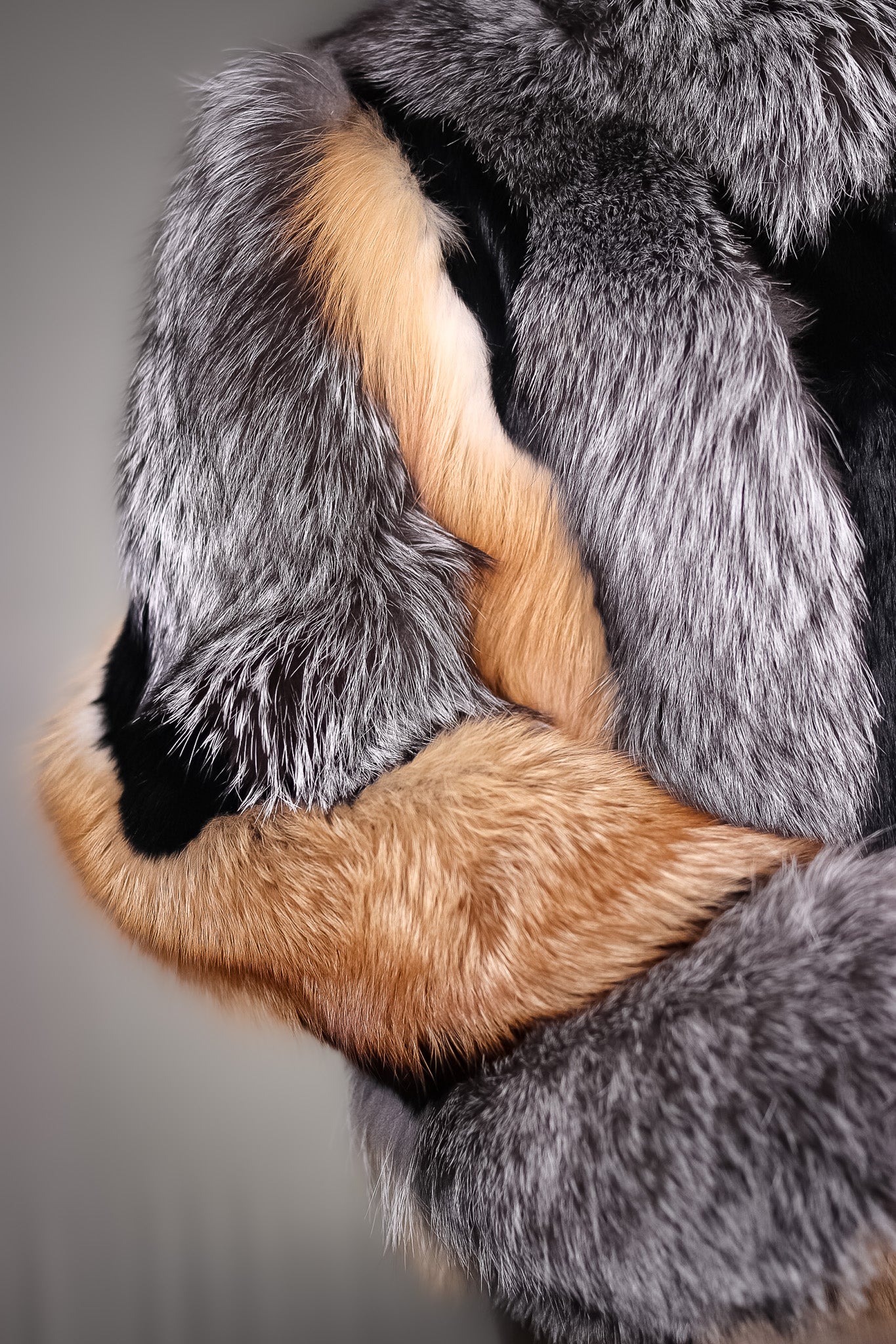 Multi-Contrasting Fox Jacket with Chinchilla REX Rabbit Inserts