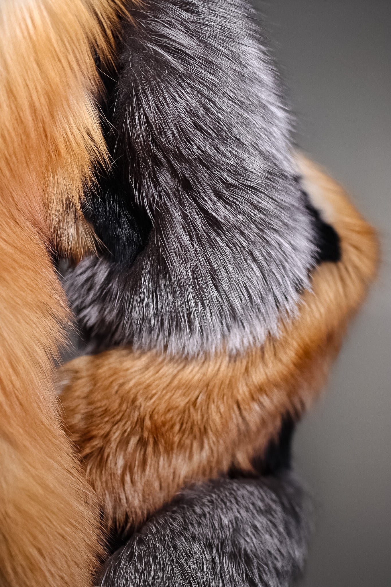 Multi-Contrasting Fox Jacket with Chinchilla REX Rabbit Inserts