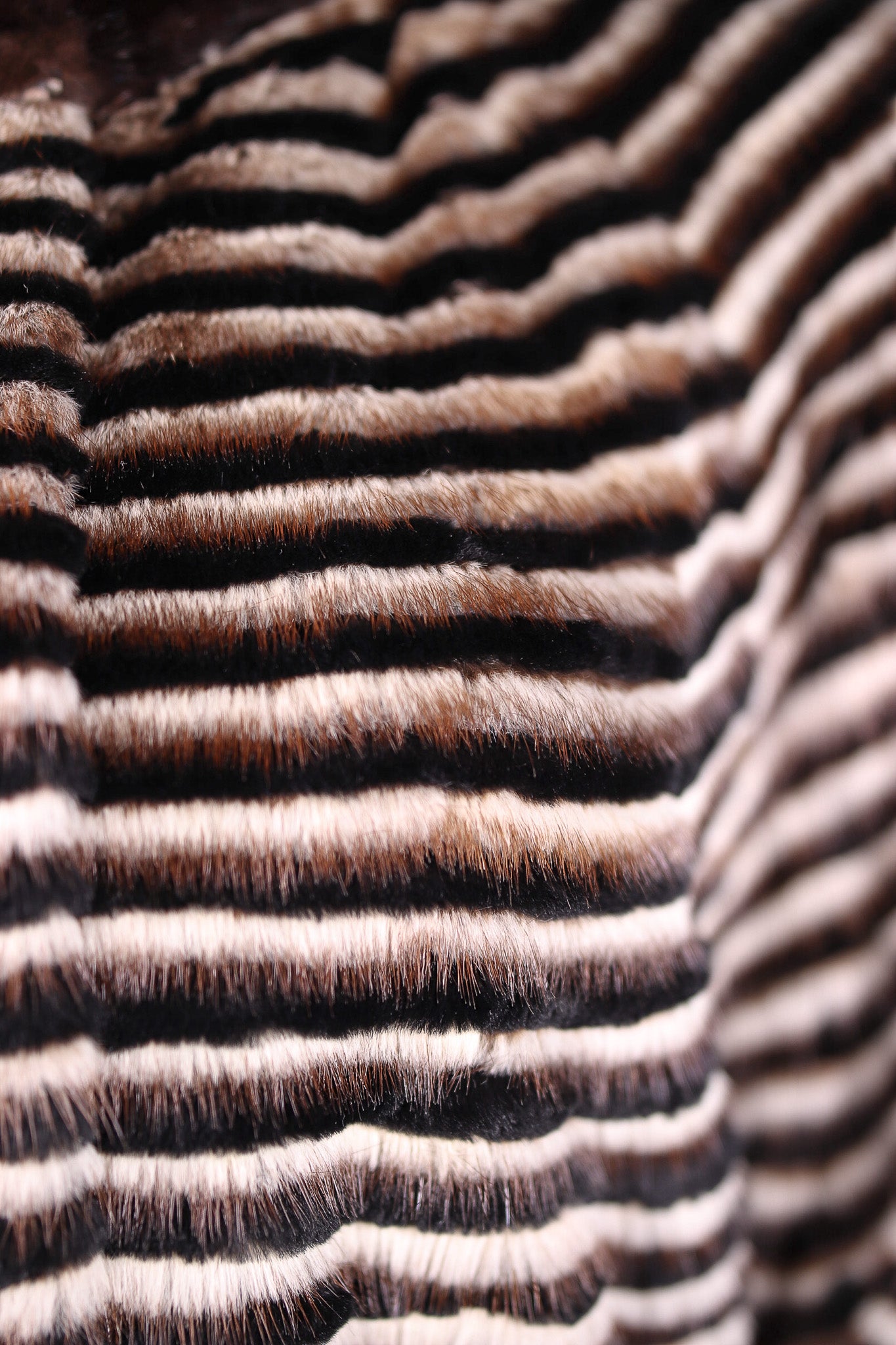 Ribbed Mink and Chinchilla Rex Rabbit Belted Cape