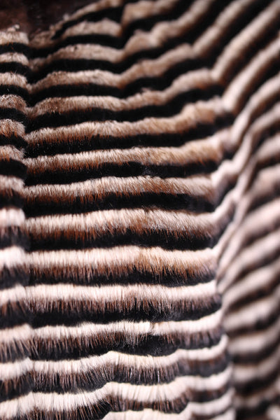 Ribbed Mink and Chinchilla Rex Rabbit Belted Cape