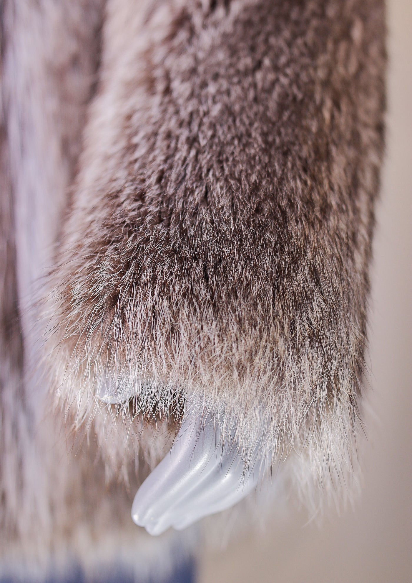 Full-Skin American Raccoon Parka