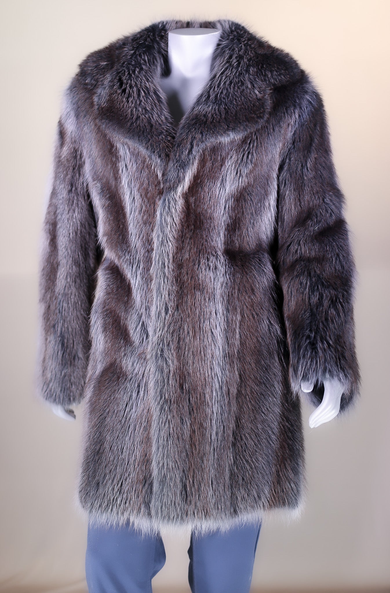 Dyed American Raccoon Stroller