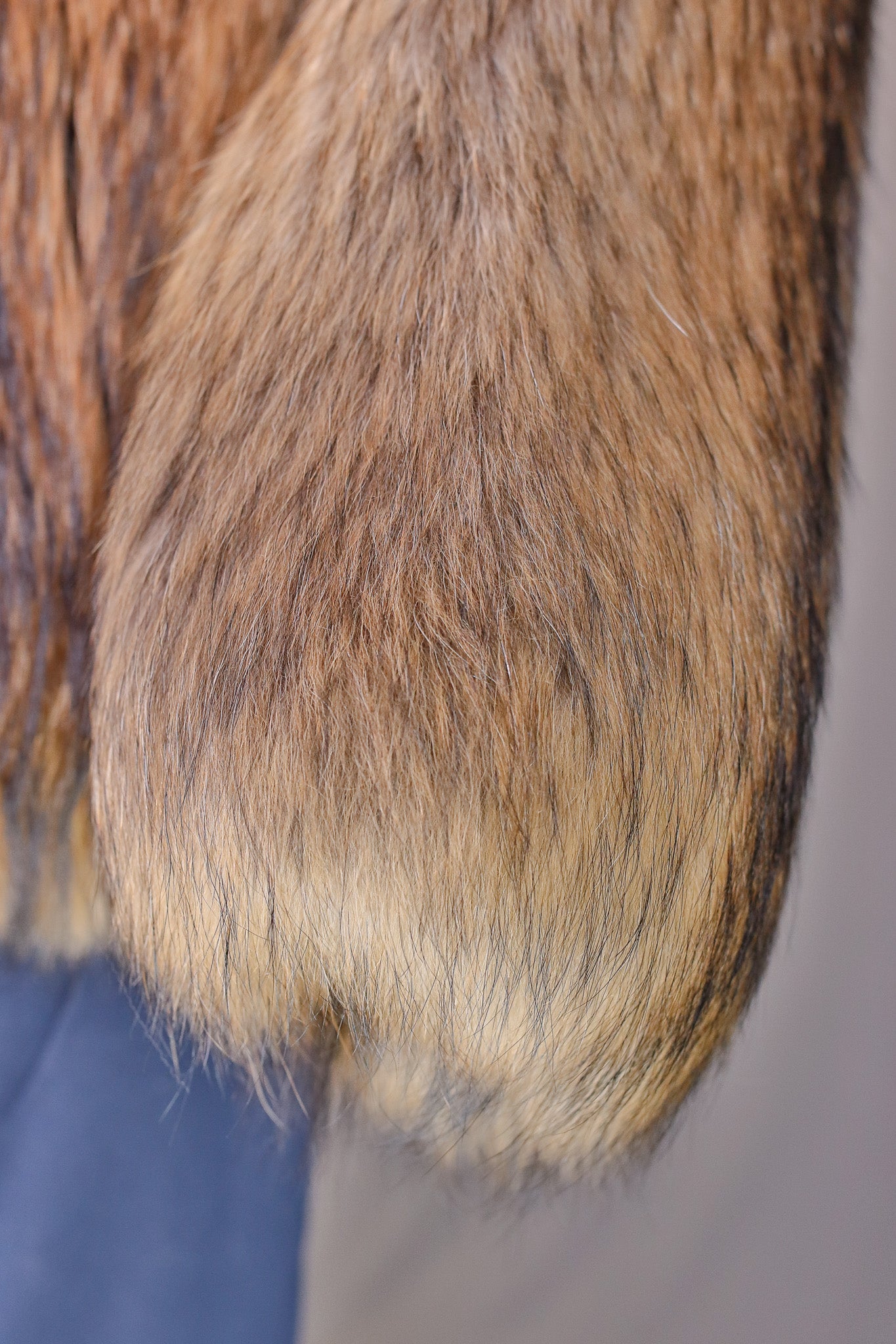 Feathered Finn Raccoon Parka