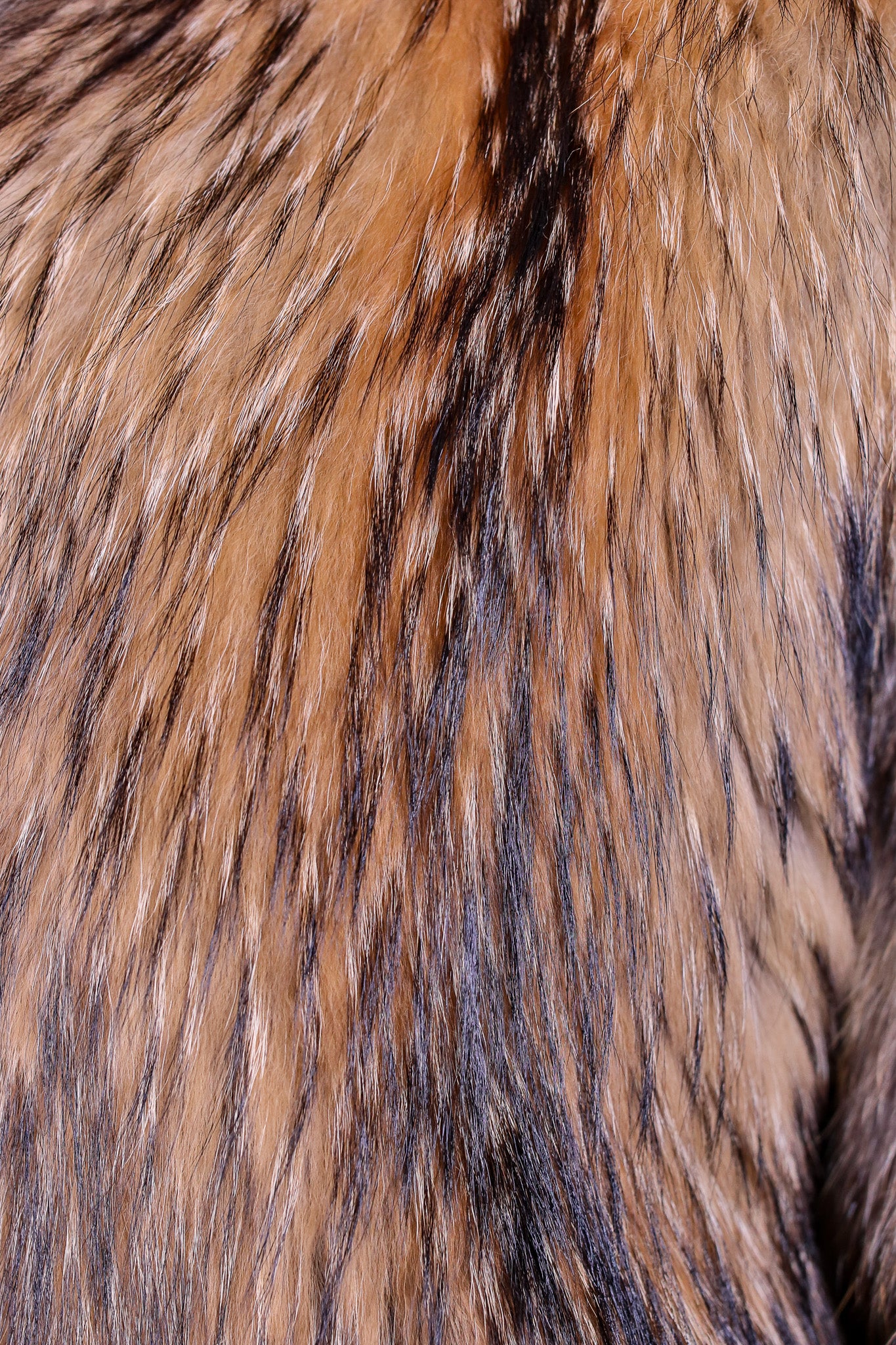 Feathered Finn Raccoon Parka