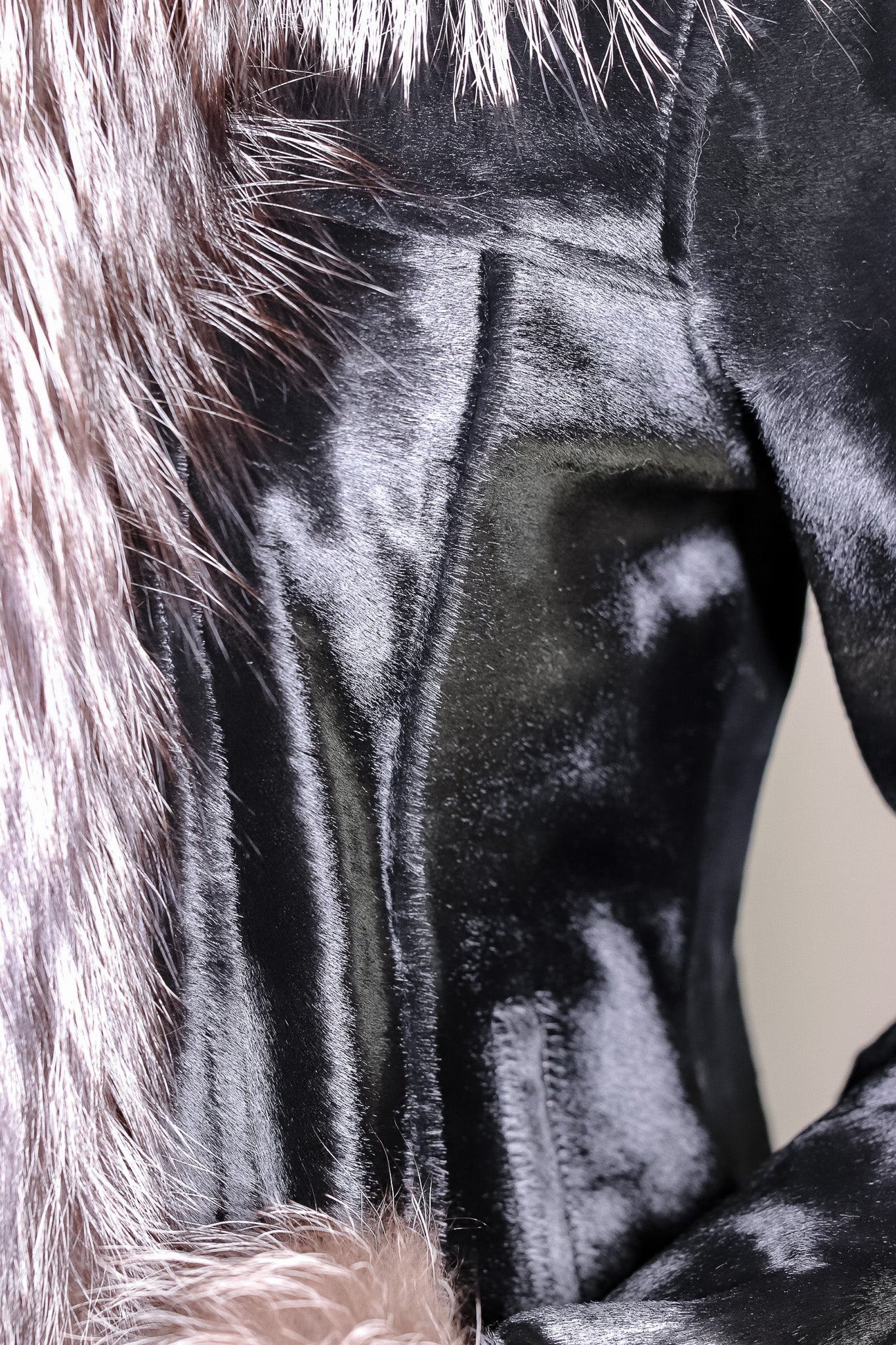 Calf Skin with Silver Fox Tuxedo and Cuff