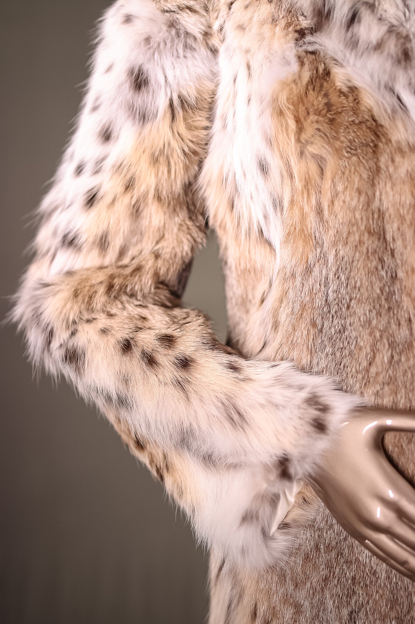 Full-Skin American Lynx Stroller